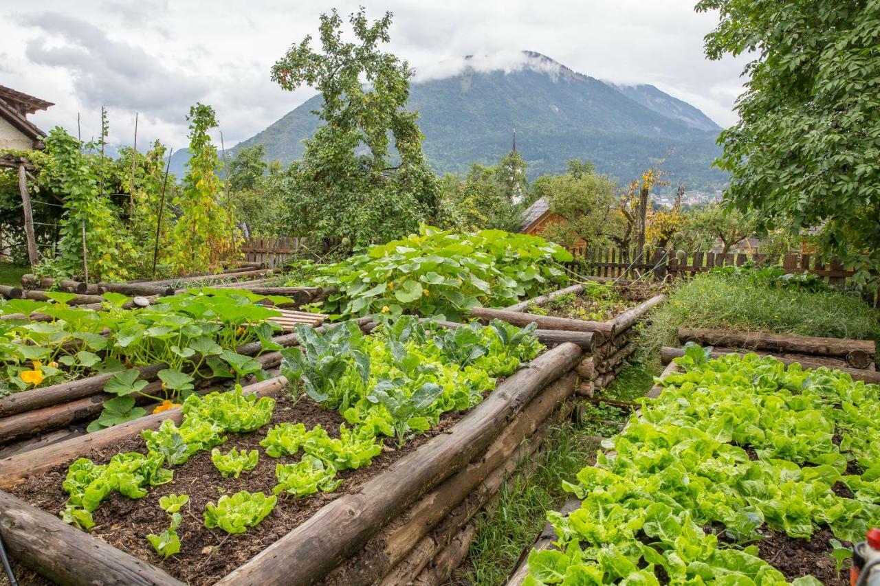 Villa Glamping Organic Farm Slibar à Tržič Extérieur photo